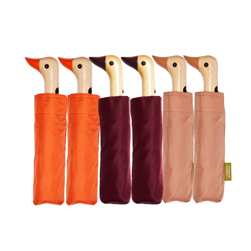 Duck Umbrellas