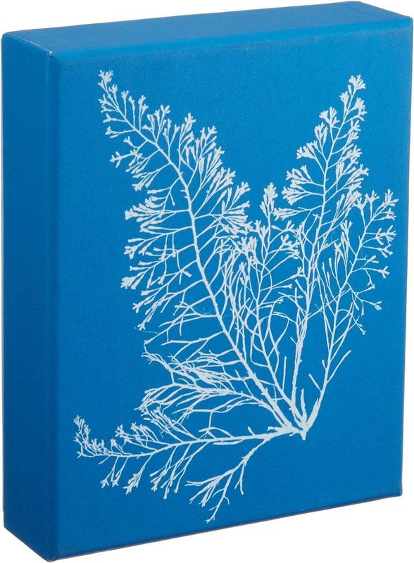Sunprint Notecards