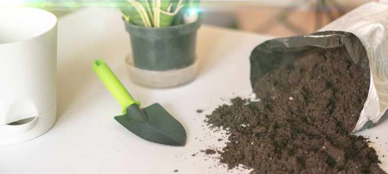 Erde &amp; Substrate