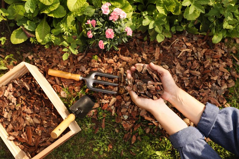 Mulch &amp; Abdeckmaterial