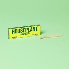House Plant By OCB 6 Pack 1 1/4 Cones