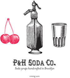 P&H Soda Syrup Store