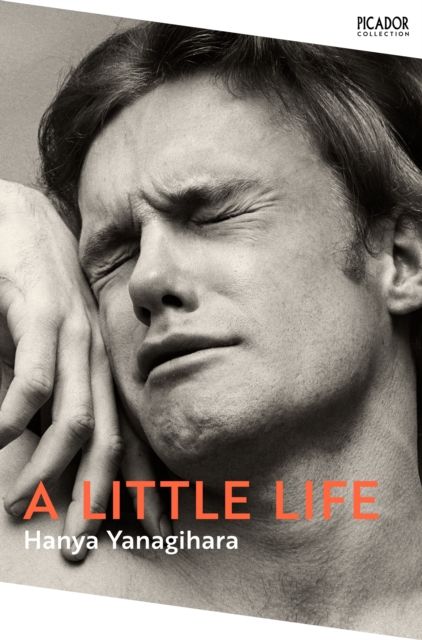 A Little Life-1