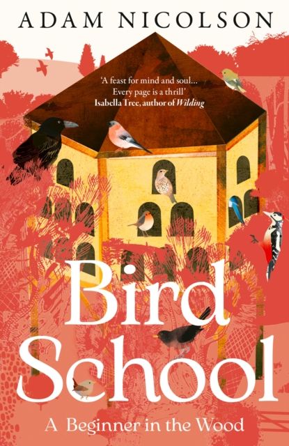 Bird School: A Beginner in the Wood