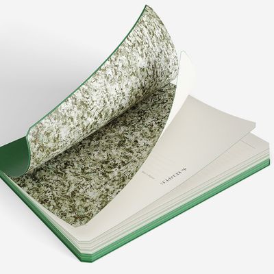 de KEMPEN Origin P Gelijnd- Groen