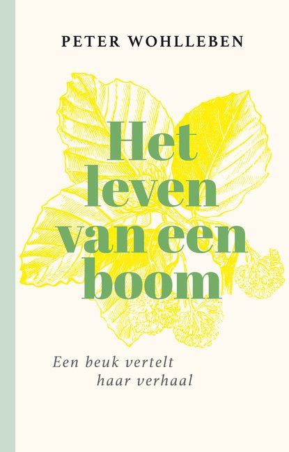 Het leven van een boom