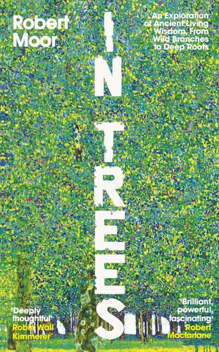 In Trees : An Exploration of Ancient Living Wisdom, From Wild Branches to Deep Roots