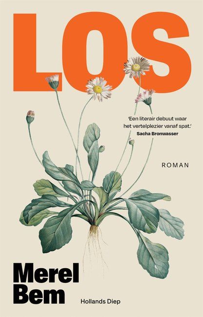 Los