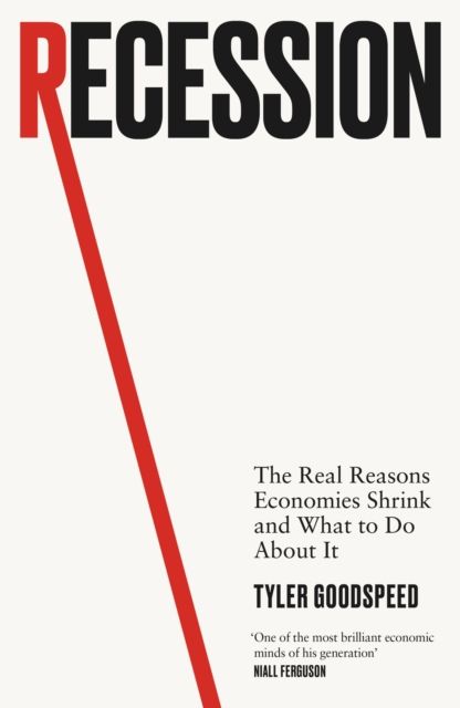 Recession : The Real Reasons Economies Shrink and What to Do About It