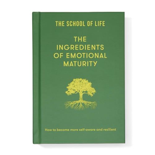 The Ingredients of Emotional Maturity : How to become more self-aware and resilient
