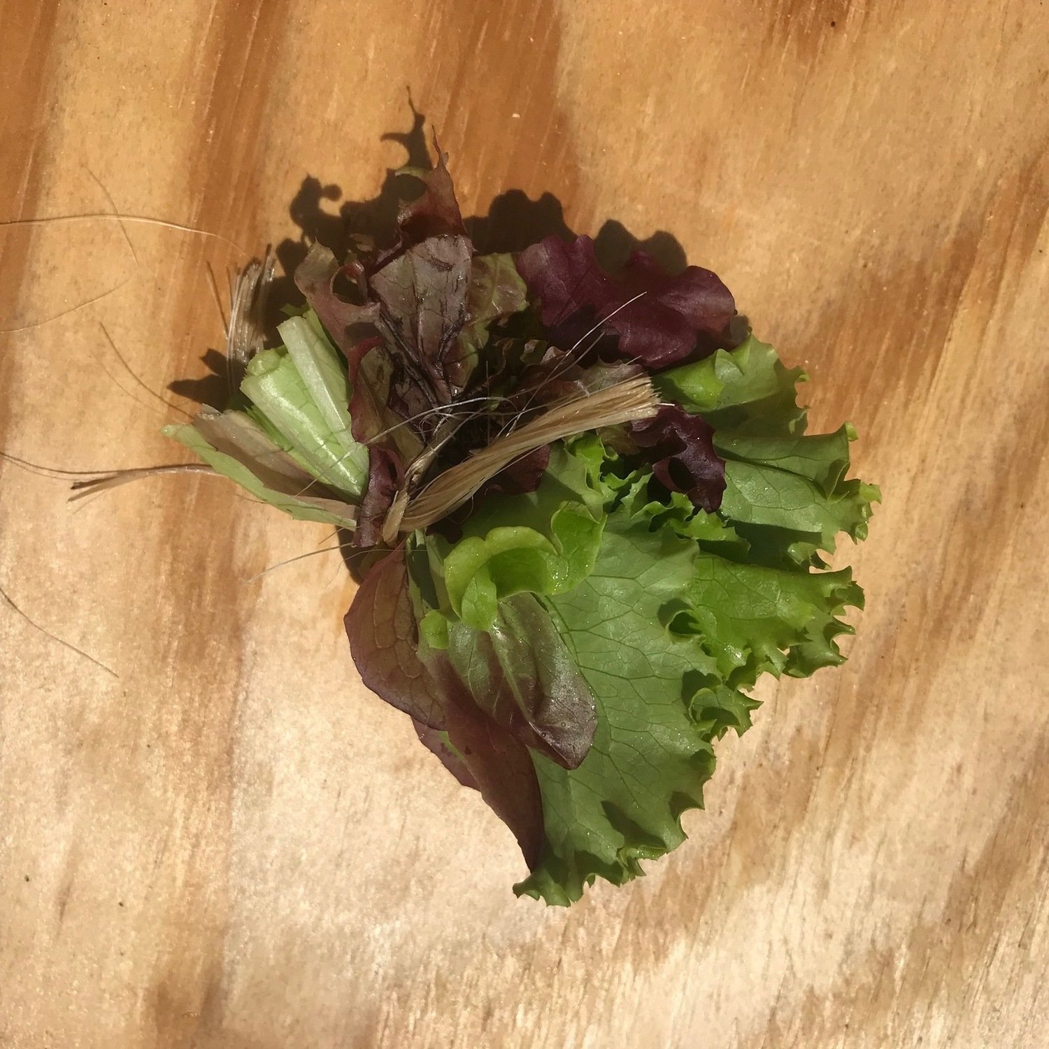 Lettuce Mix