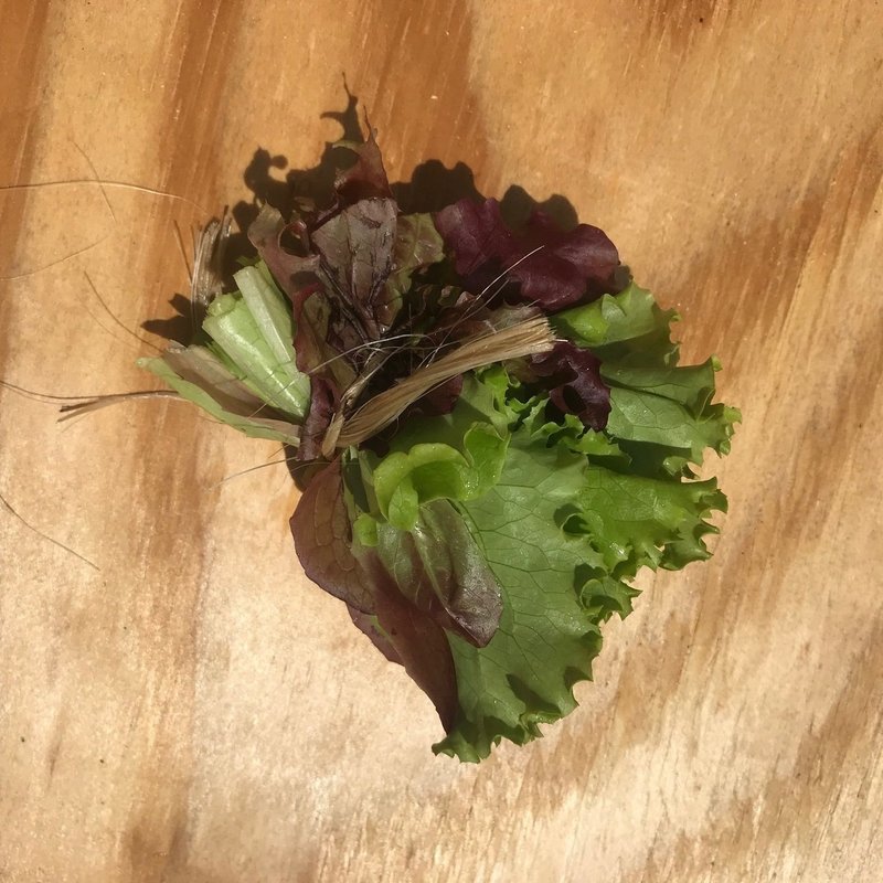 Lettuce Mix