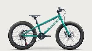 1210316010  STORM 20 DISC GREEN