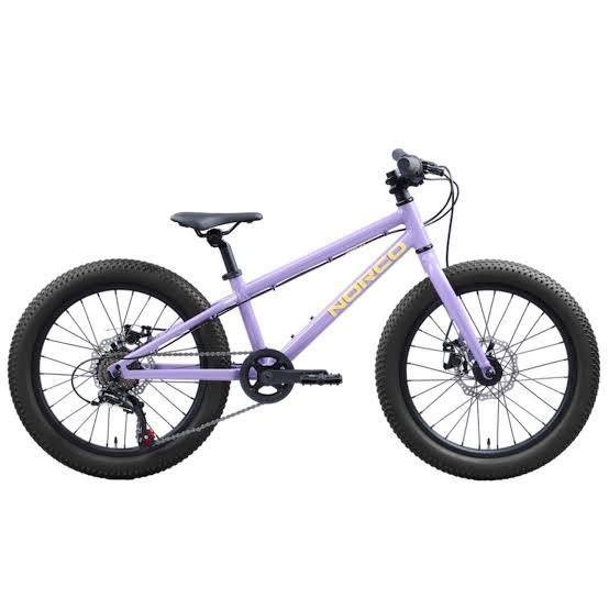 1210326010 STORM 20 DISC PURPLE