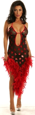 Valentine's Day Lingerie See through nightgown w boa and sequins Hearts