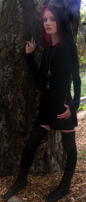 Plus Size gothic hooded Velvet Prophecy Mini Dress Witches Coven 1x-2x