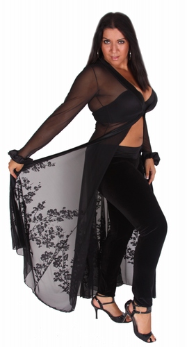 Delicate Illusions Flocked Mesh Vine Plus Size Sexy Sheer Robe