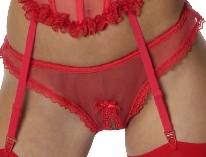 Empire Intimates 171X Plus size Sheer Red Mesh Crotchless Panty
