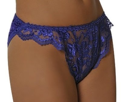 Empire Intimates 108X Plus size Purple Satin Lace Panty