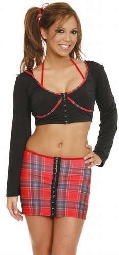 Delicate Illusions Sexy School Girl Microfiber Hoodie Plaid triangle top and Plaid Skirt