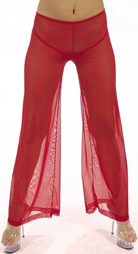 Sheer Mesh Pallazzo Pant