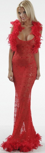 See through Sequin Mesh Lace long dress nightgown w Boa trim