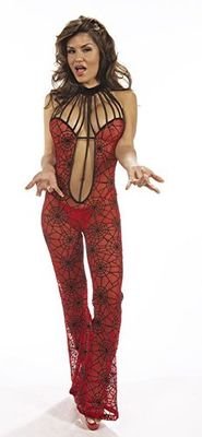 Delicate Illusions Sexy Spider web Catsuit Costume