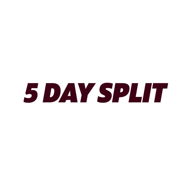 5 DAY SPLIT