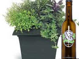 Organic Herbes De Provence Extra Virgin Olive Oil