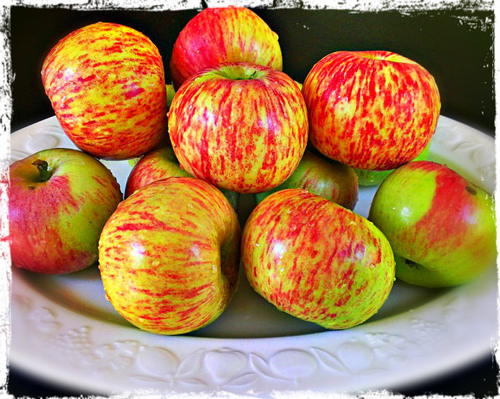 Gravenstein Apple Aged White Balsamic Vinegar