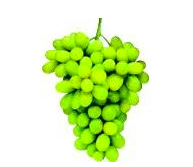 Seedless Green Grapes 2lb