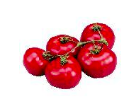 Tomato On The Vine, 2lb