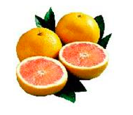 Star Red Grapefruit 2 Ct