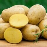 Golden Potato, 2lb