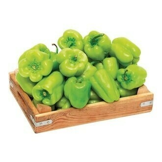 Turk Usulu Dolmalik Biber (Amish Farm Green Pepper) ~1lb