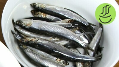 Temizlenmis Hamsi Anchovy gutted by Fish Avenue (frozen) 16 oz