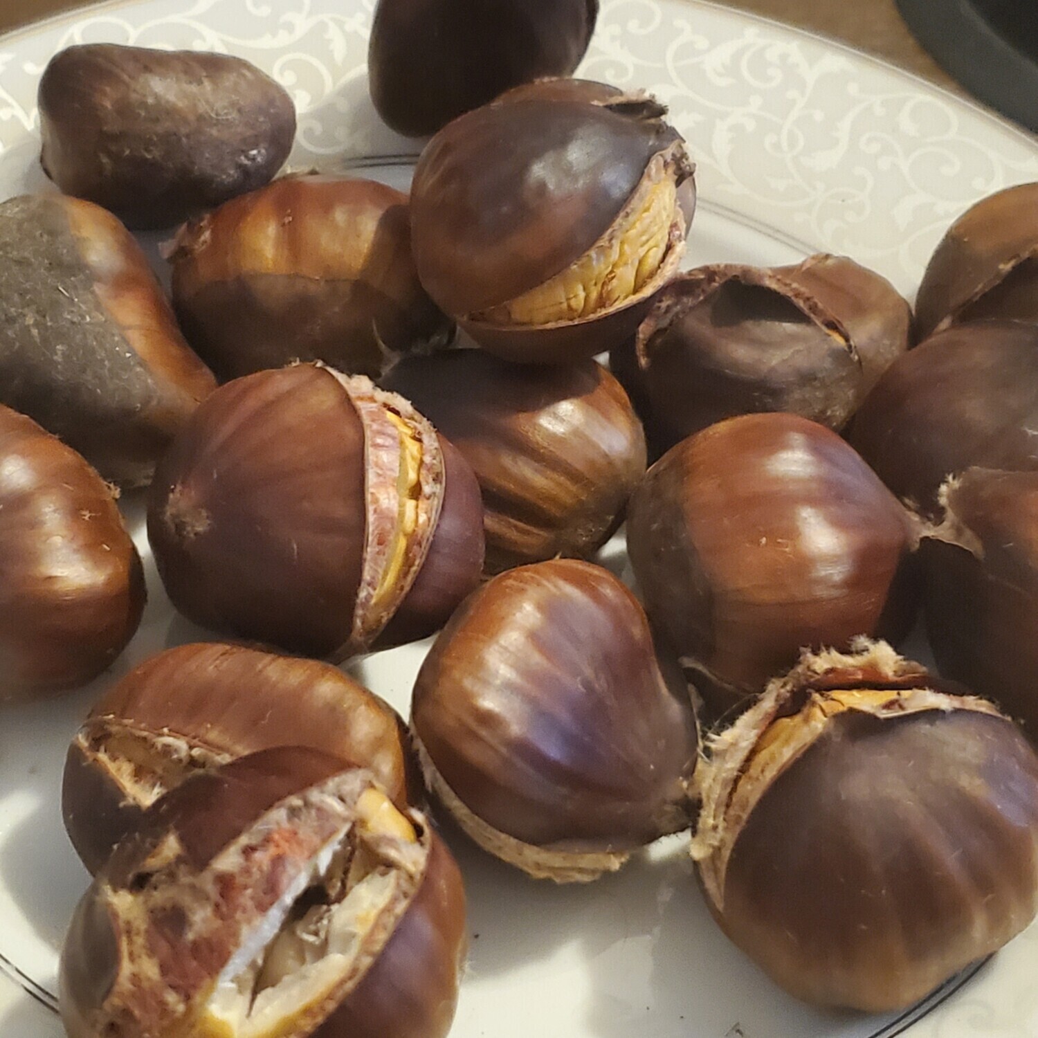 Turkish Chestnut 🌰 Turk kestanesi ~2lbs Kestane