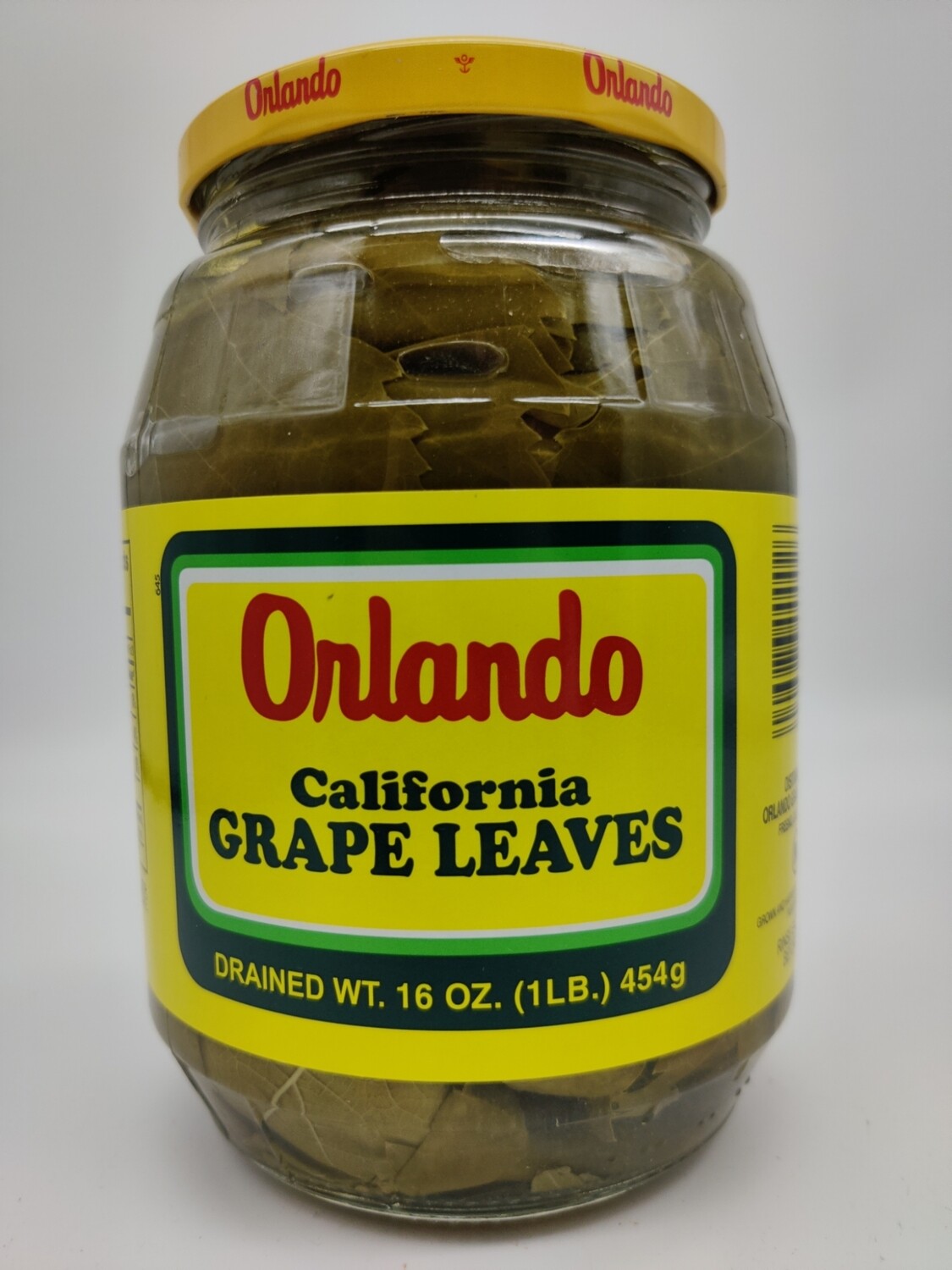 Orlando Grape Leaves