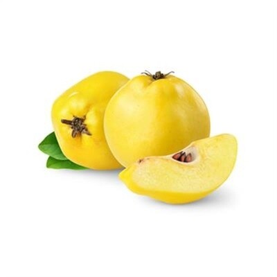 Quince Fresh 1pcs ( Ekmek Ayvasi ) Quince Fresh 1pcs ( Ekmek Ayvasi )
