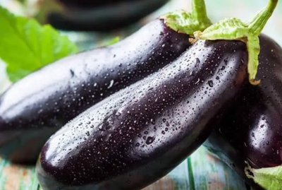 Turk UsuluPatlican - Amish Farm Eggplant ~2lb