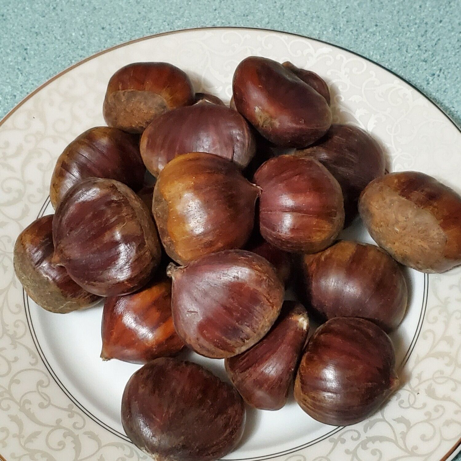 Turkish Chestnut Bursa Kestanesi ~16 oz 420 gr Kestane