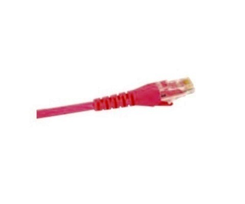 AX350261 Patch cord CAT6+ 33FT (10Mtrs) red CMR Gigaflex (new C601102033) Belden