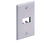 CFP2IW Faceplate 2 PTO 2X4 minicom office-white Panduit