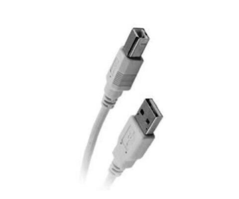 NUB-3110 Cable USB  2.0 type A (M) to type B(M) 10FT QUEST