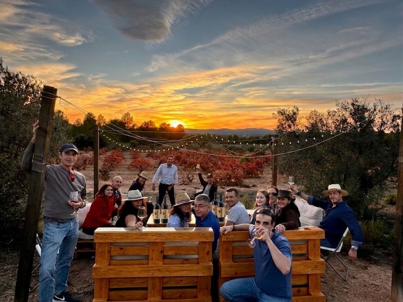 Almuerzo/Atardecer entre Viñedos: Vino, Tierra y Tiempo