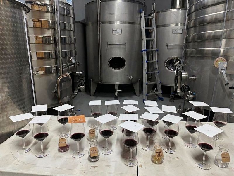 Visita Premium: La Esencia de Nuestra Bodega