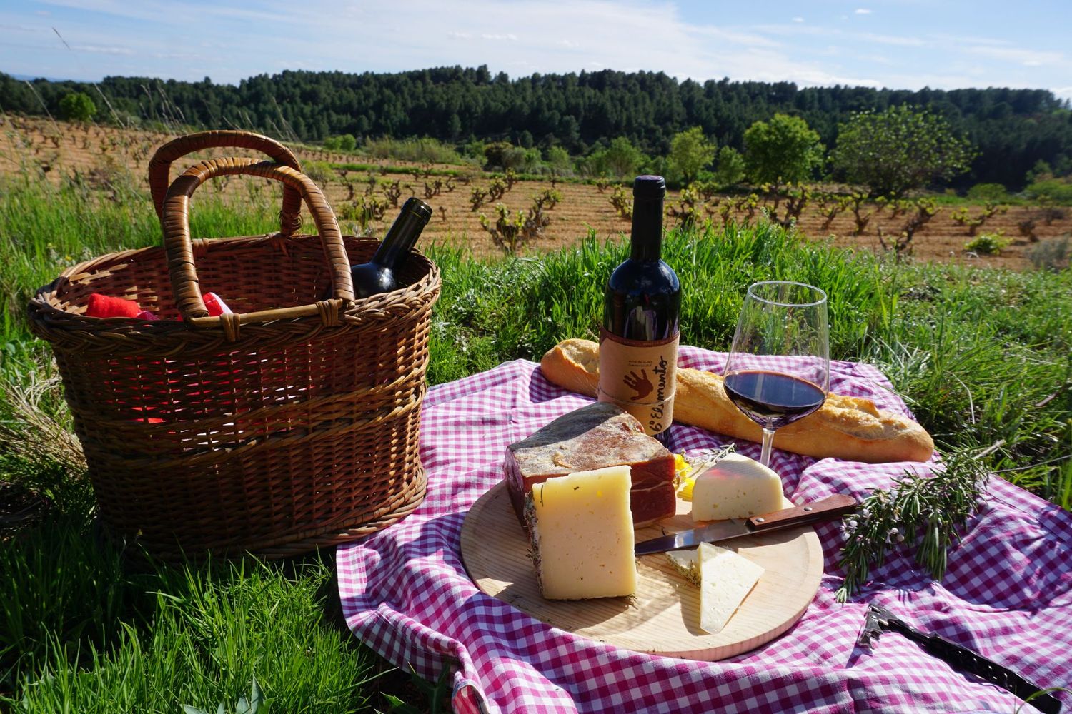 Vino y Picnic con Vistas Vino y Picnic con Vistas