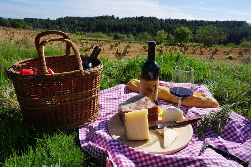 Vino y Picnic con Vistas