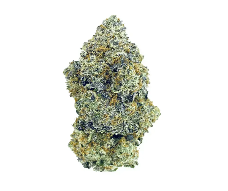 GMO Cookies | SATIVA