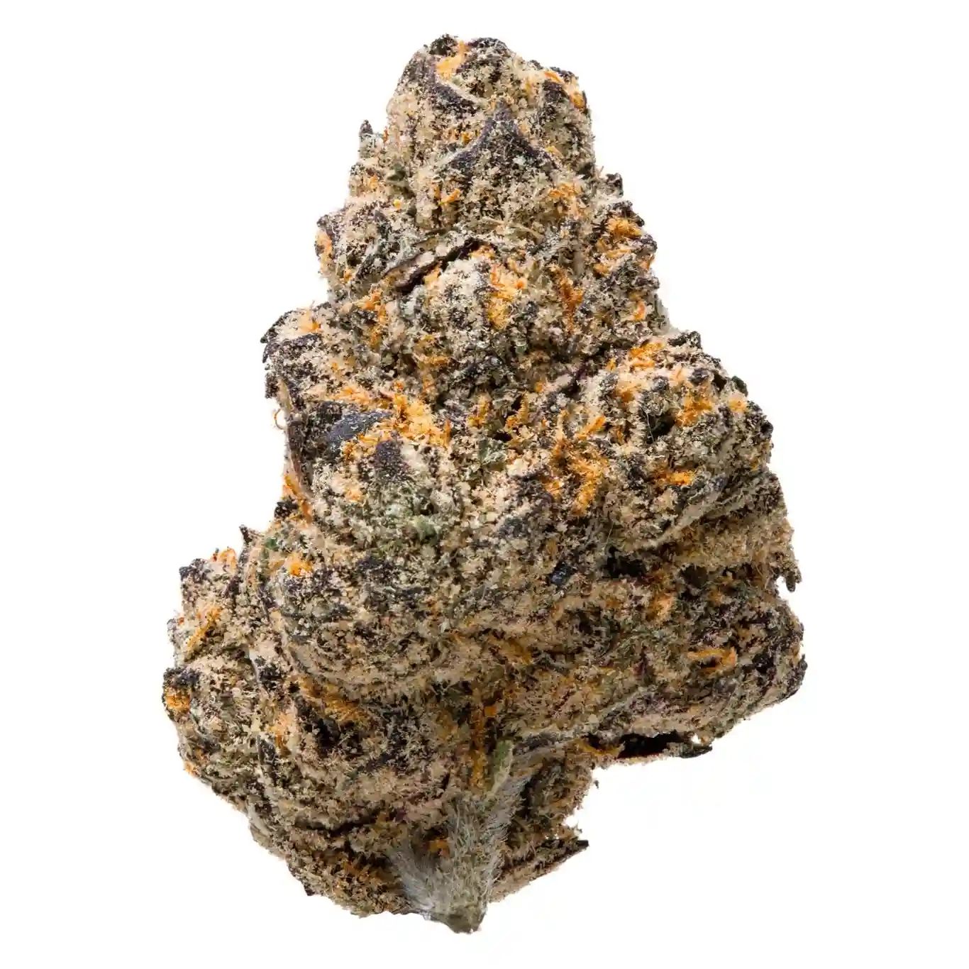BLACKCHERRY GUSHERS | HYBRID